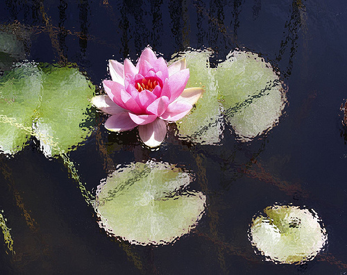 reminder accidental lilypond